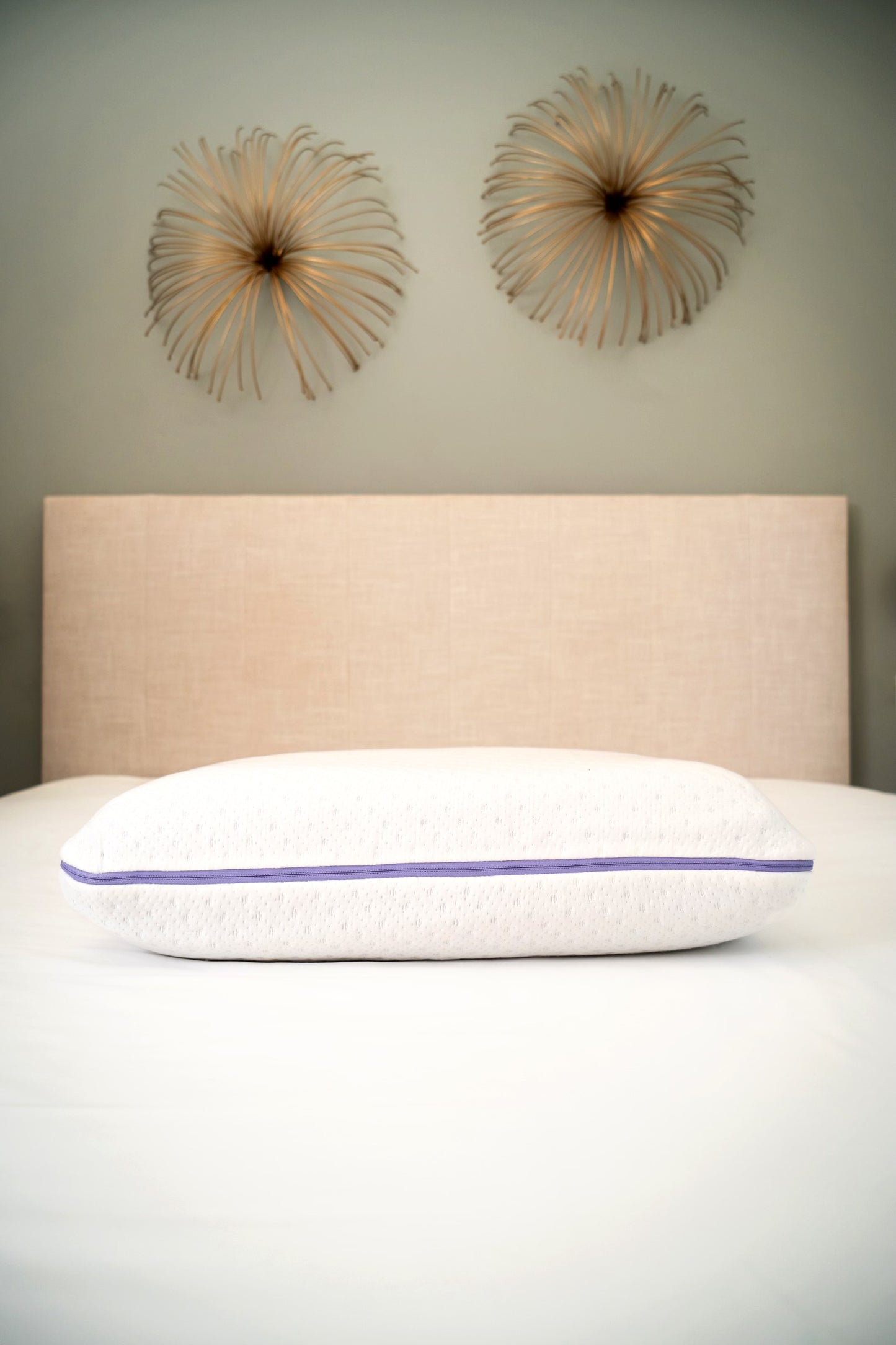Forever top pillow co